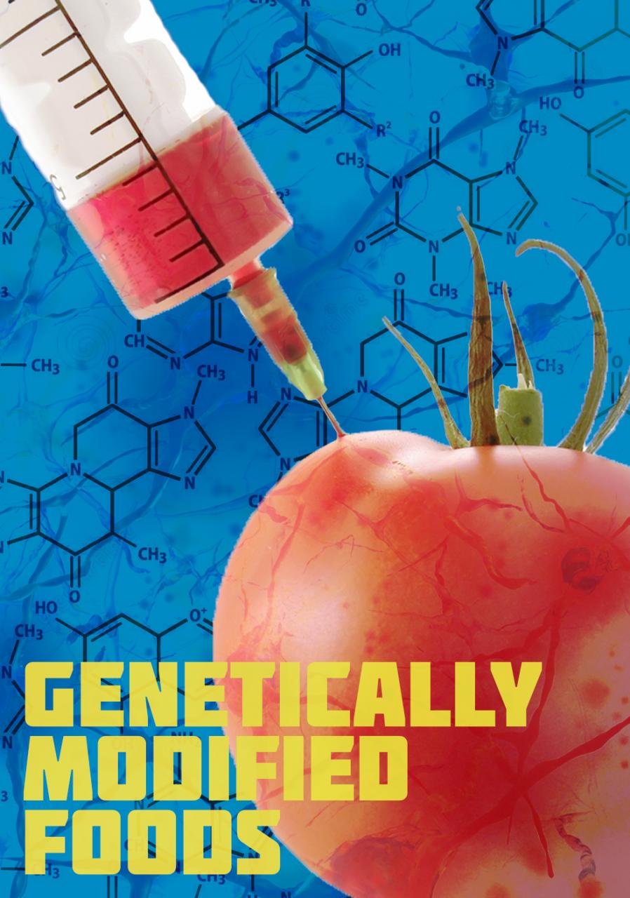 Genetically Modified Food: Panacea or Poison